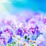 Purple-Flowers-iPad-4-wallpaper-ilikewallpaper_com