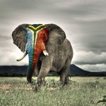 war-elephant