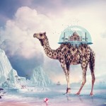 Taj-Mahal-Camel-iPad-wallpaper-ilikewallpaper_com